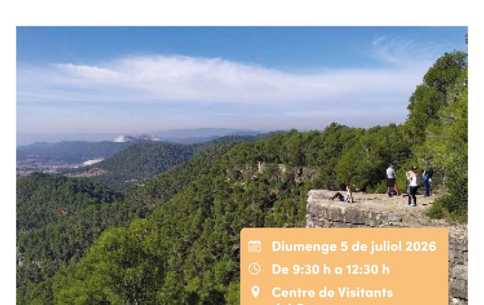 Sortida Roques Albes 260705
