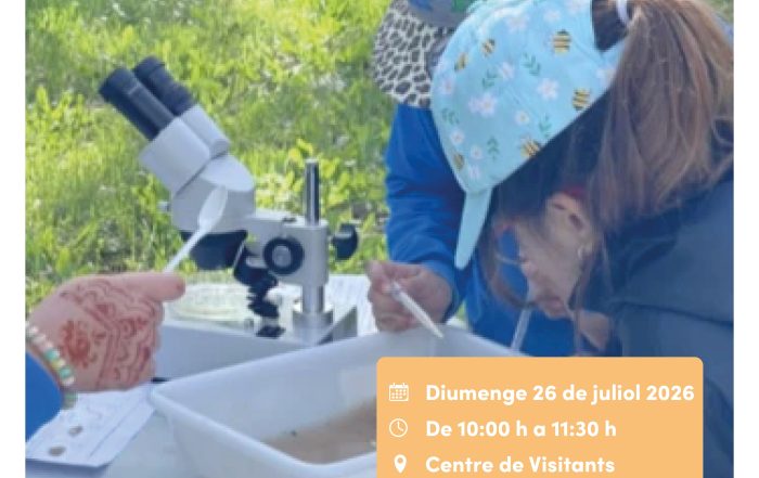Activitat Qui viu al riu?